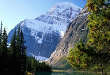 英勇奋战！亚洲劲旅力争夺冠，荣耀之路征途如虹