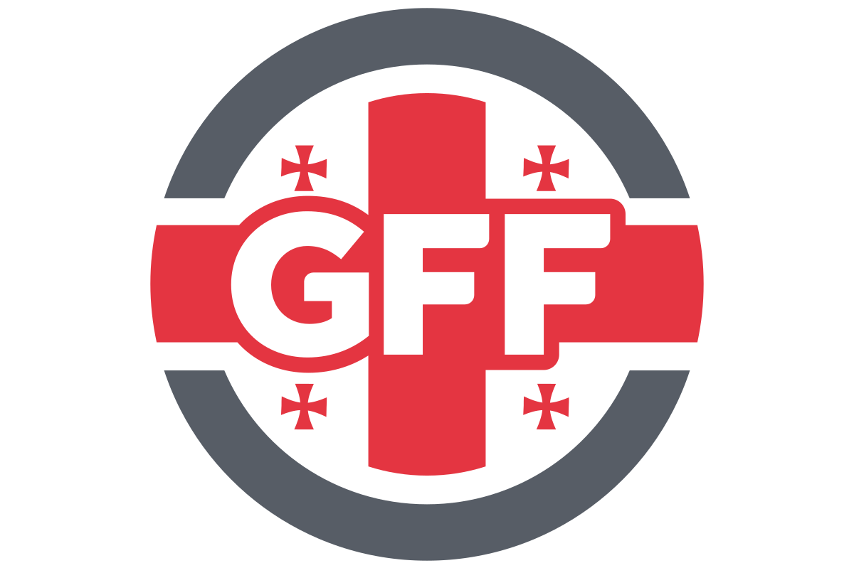 格鲁吉亚队斩获胜利，正名实力