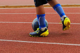 爱游戏官网-篮球赛事规则大改革：中国篮协发布新政策，中国篮协 篮球规则