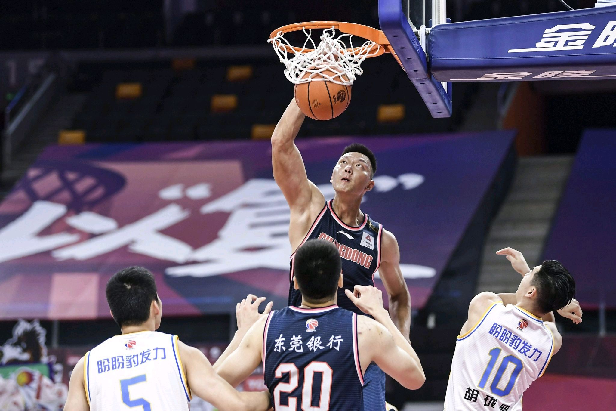 关于上海大鲨鱼队力压浙江队取得胜利的信息